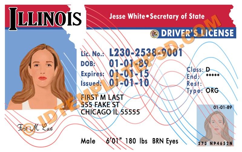 download drivers license templates